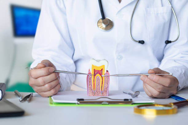 Best Emergency TMJ Treatment in Hoyt Lakes, MN